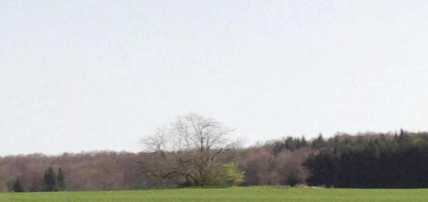 Klicken zum vergr&ouml;&szlig;ern